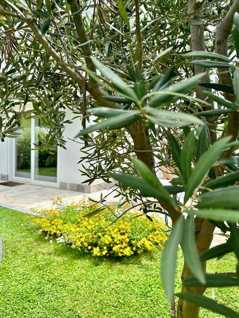 Casa Mila White Villa Marina di Cerveteri Exterior photo
